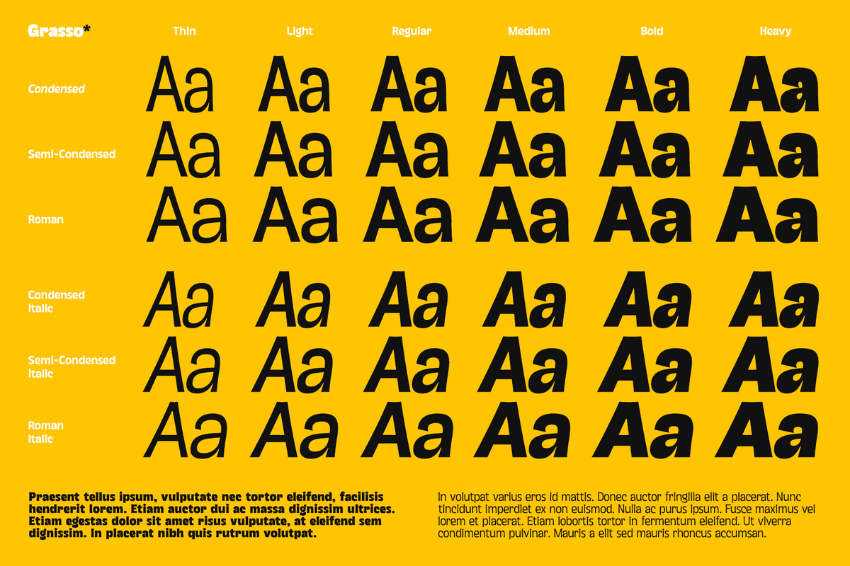 grasso-heavy-modern-display-variable-font-unknown-creator-4.png