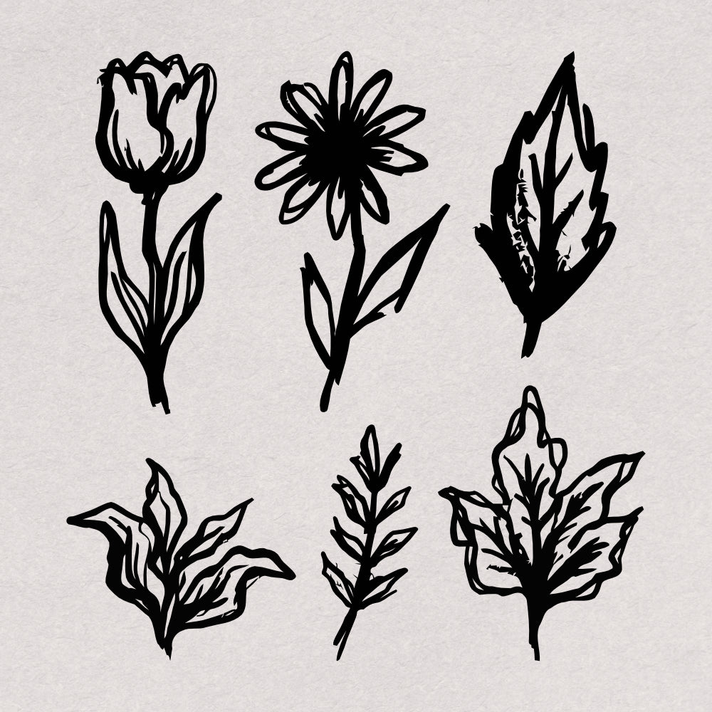 hand-drawn-botanical-illustrations-60-unique-vector-elements-designimento-5.png