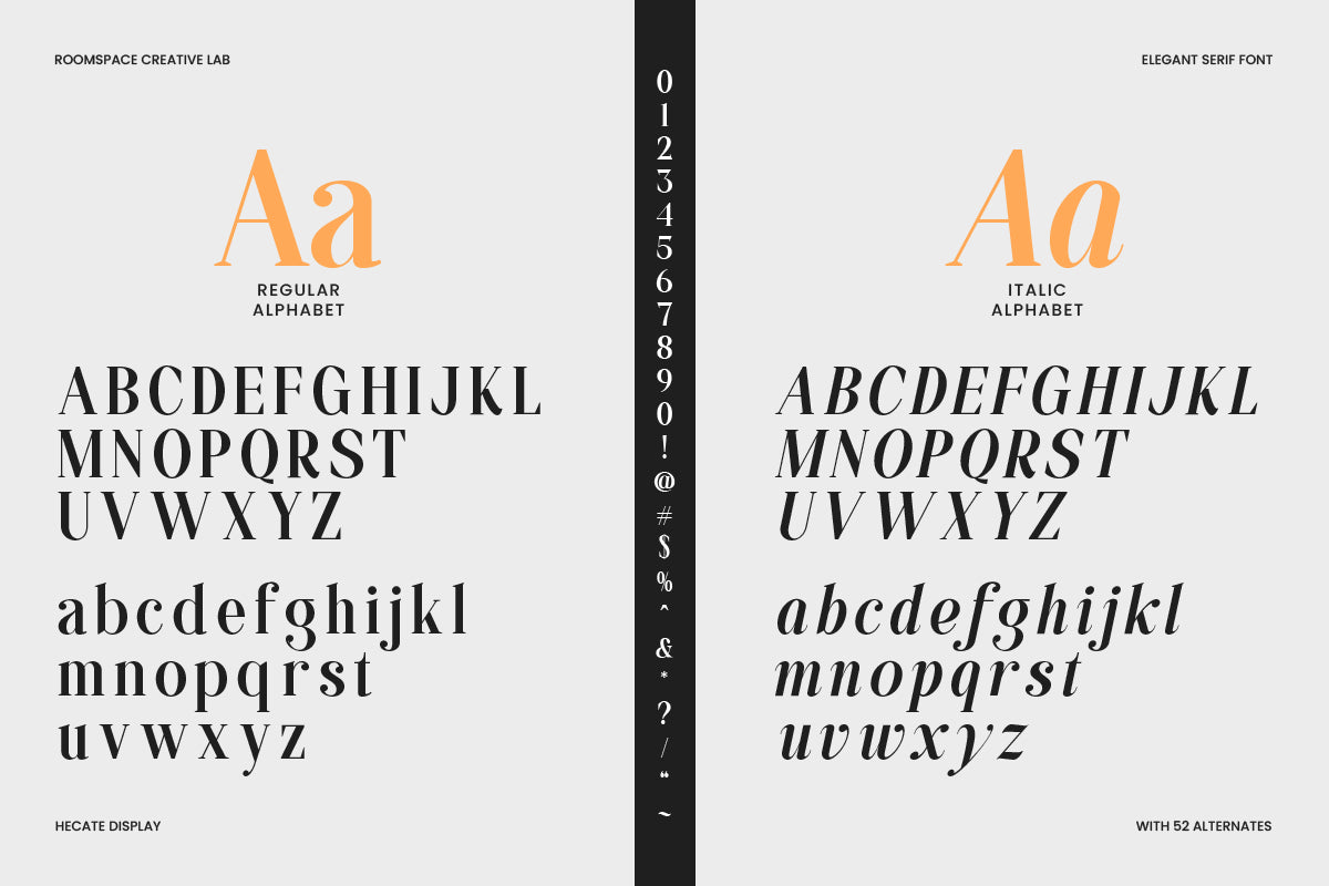 hecate-display-modern-editorial-serif-font-roomspace-creative-lab-12.png