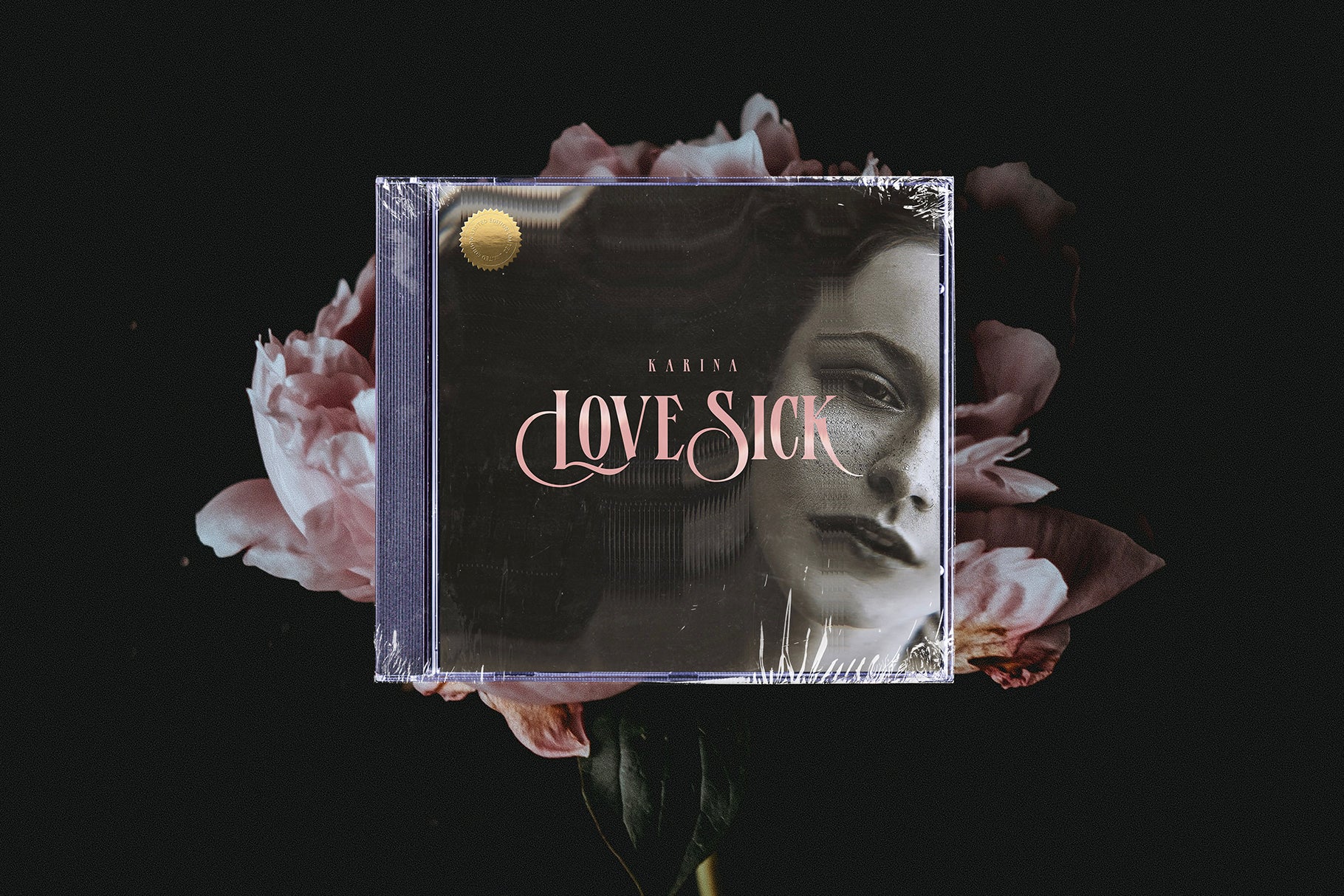 httpscreativemarket.comSamParrett6635711-Fallen-Angels-Serif-Font - Set Sail Studios 1.jpg