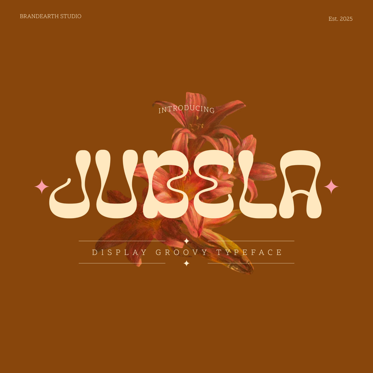 jubela-display-groovy-typeface-font-brandearth-studio-1.jpg
