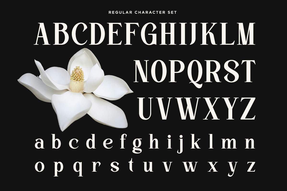 kinder-land-stylish-serif-font-say-studio-9.png