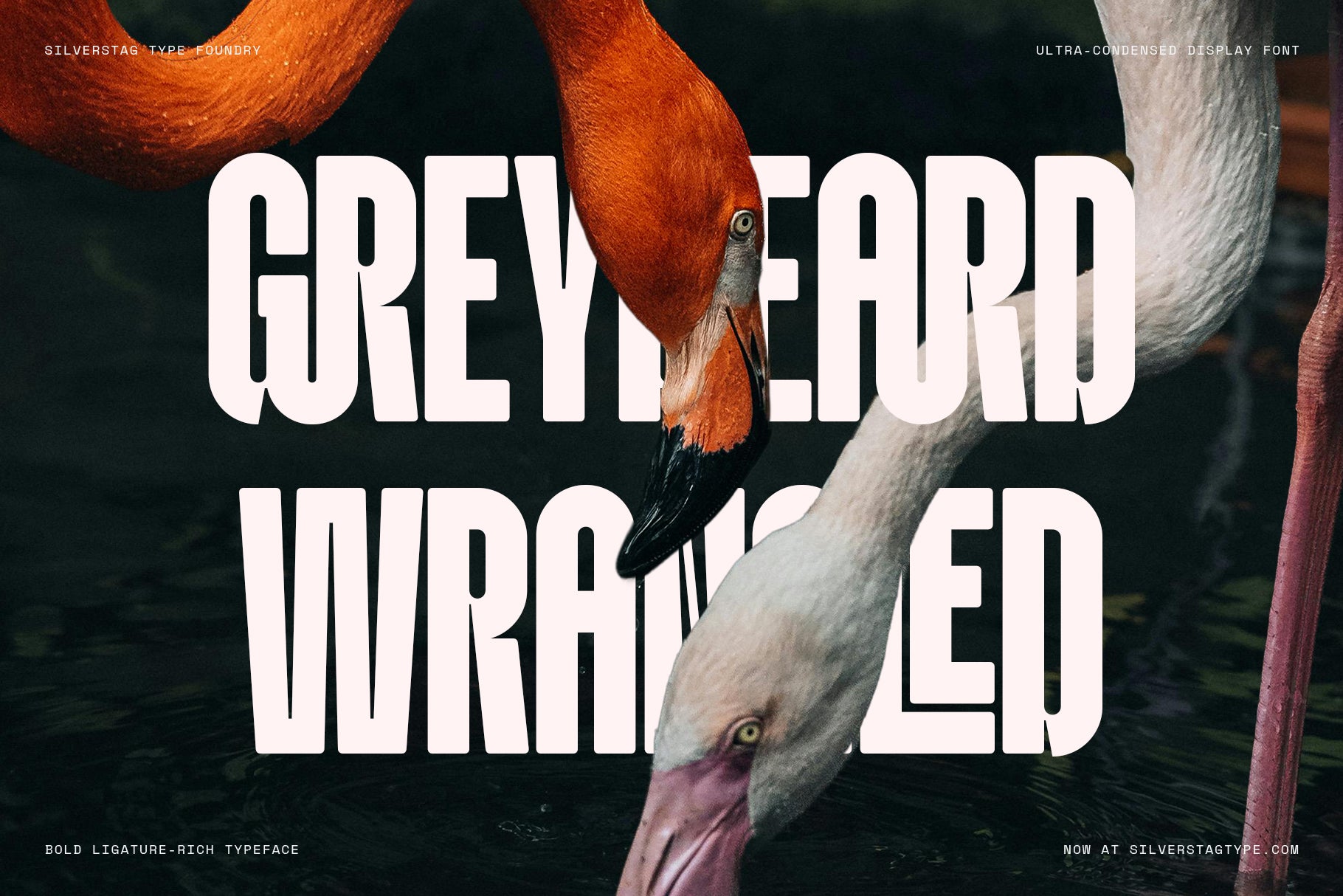 Knolt – Bold Ultra-Condensed Font