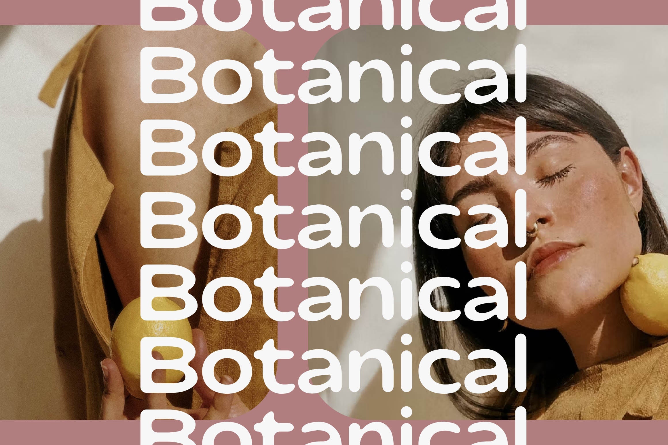 Kokoa Font