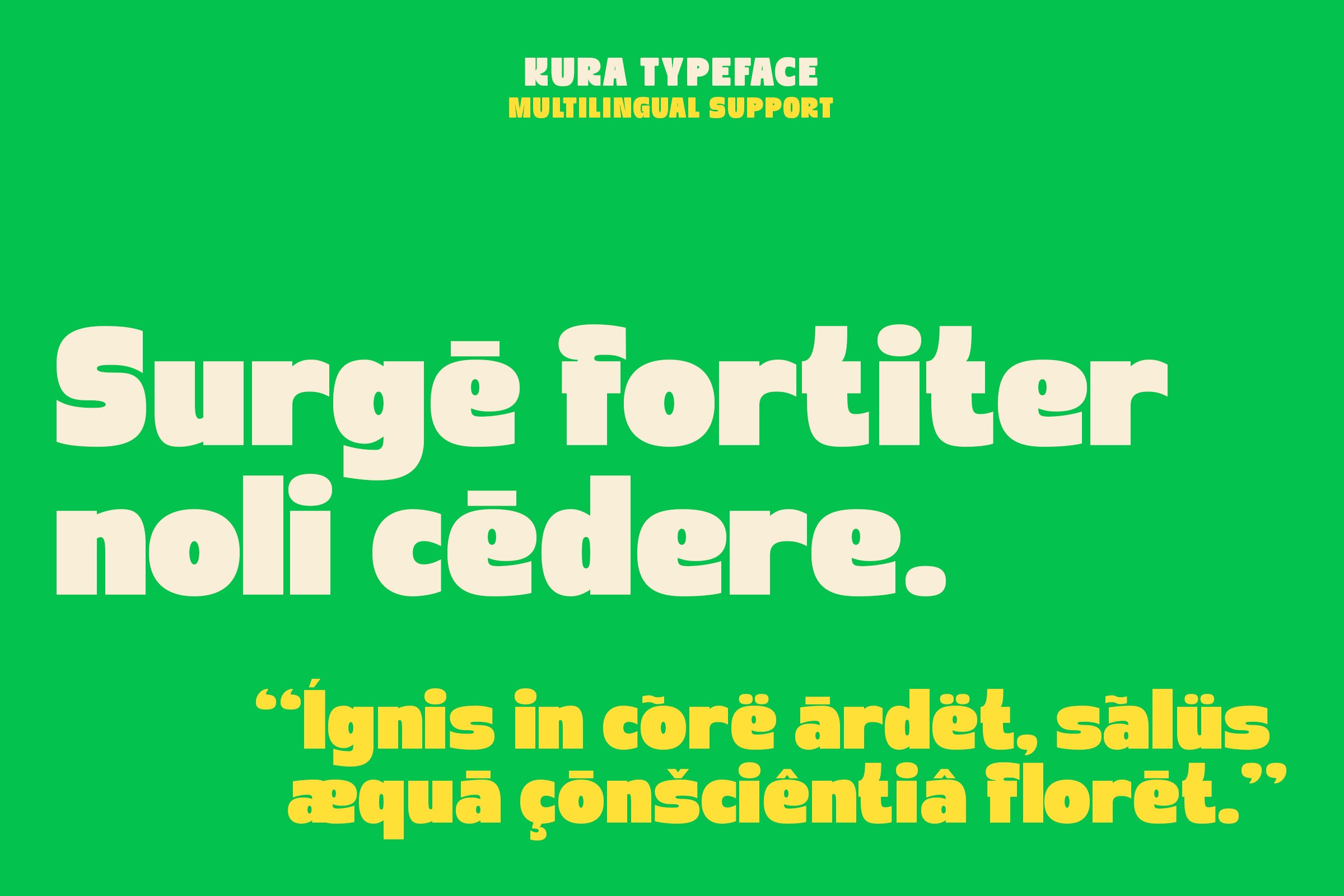 kura-bold-funky-display-font-sekyra-lab-5.jpg