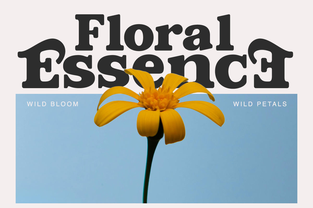 lamonik-modern-display-serif-font-rasio-std-5.png
