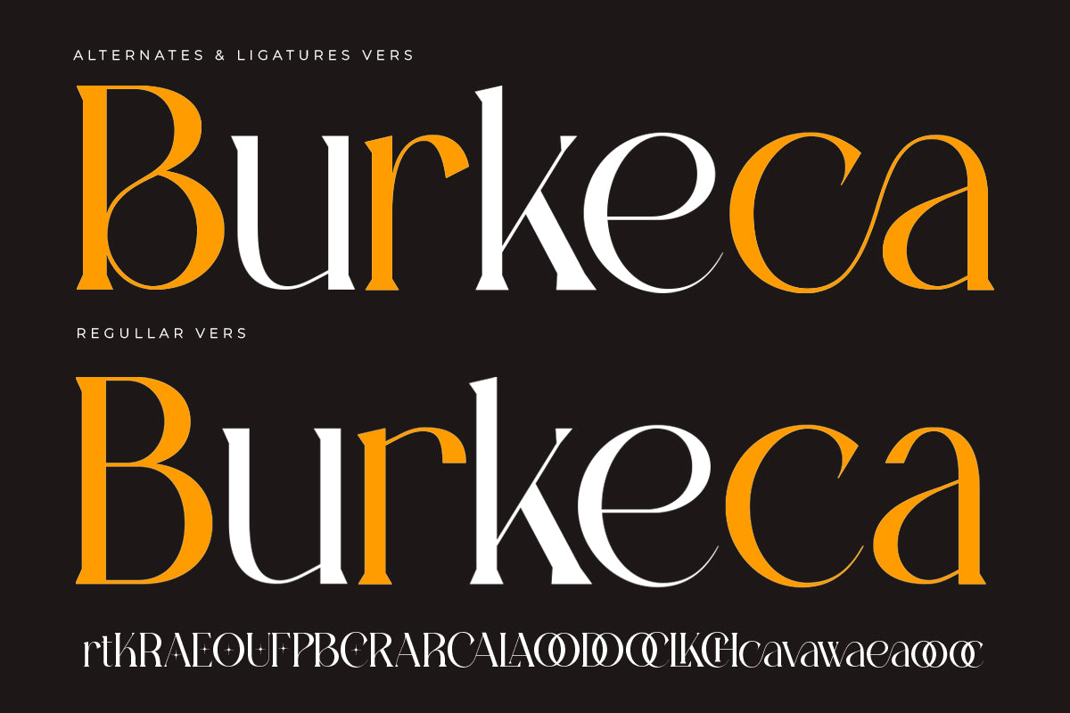 lawsin-modern-serif-typeface-font-catalystco-studio-6.jpg