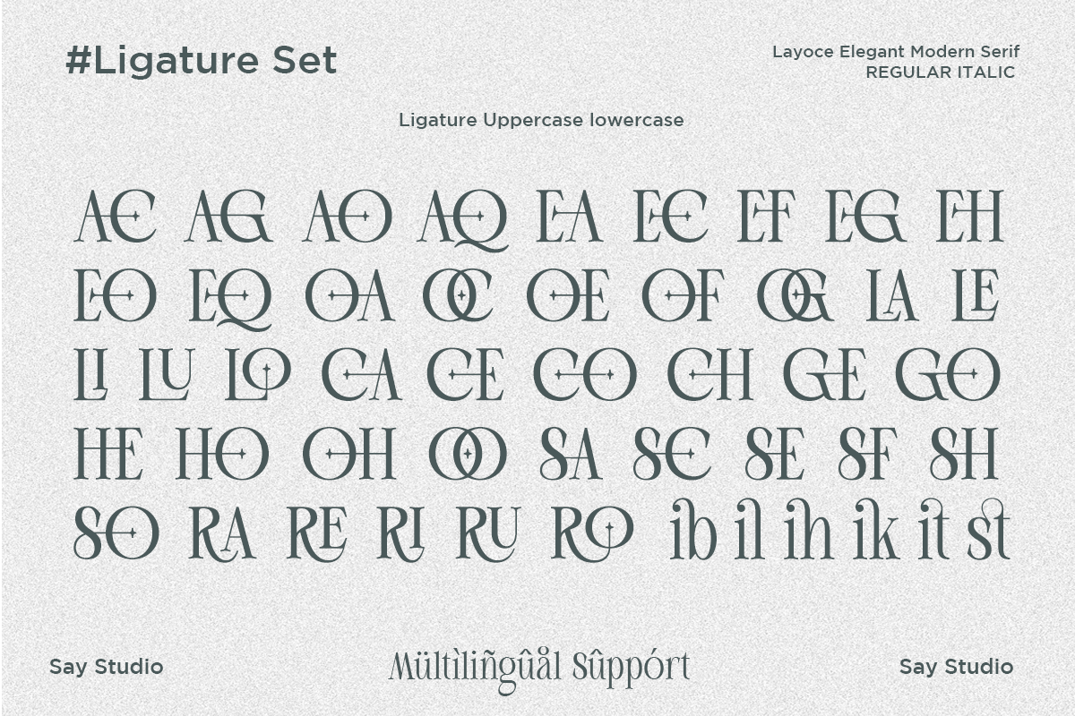 layoce-luxury-ligature-serif-font-say-studio-12.png