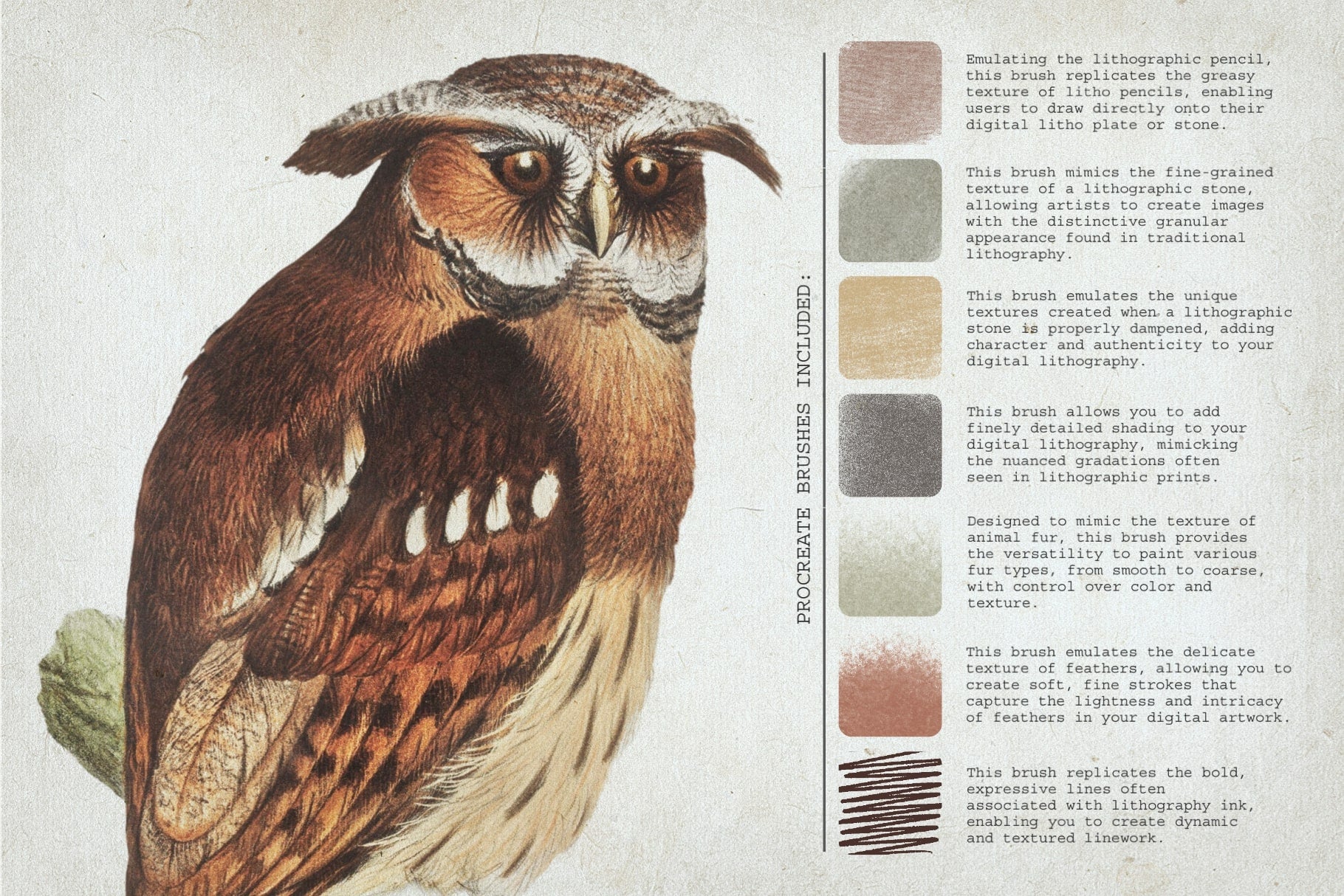 Lithography Procreate Kit | Birds