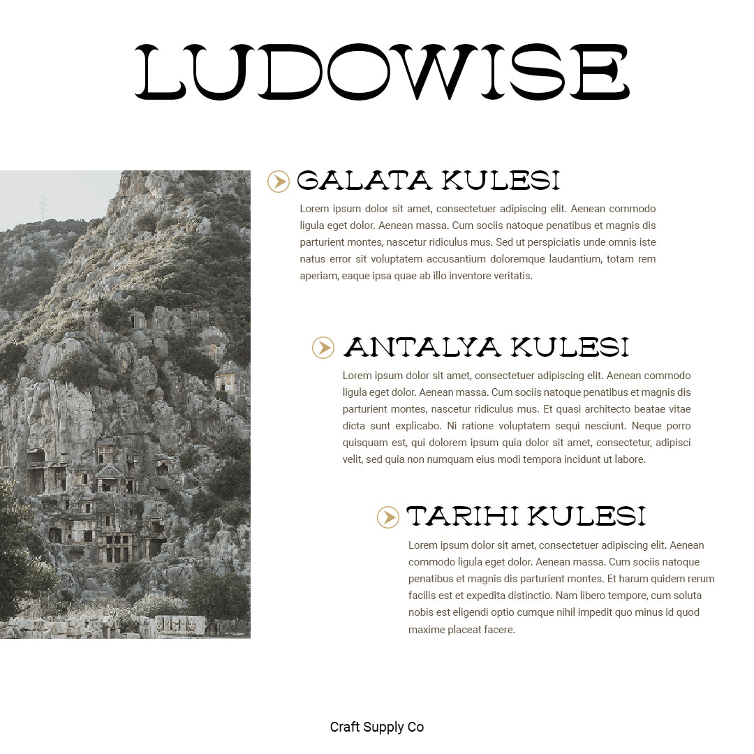 ludowise-contemporary-serif-craft-supply-co-6.jpg