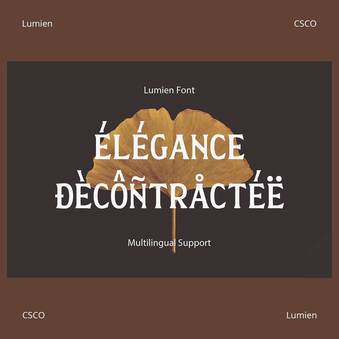 lumien-display-serif-craft-supply-co-6.jpg