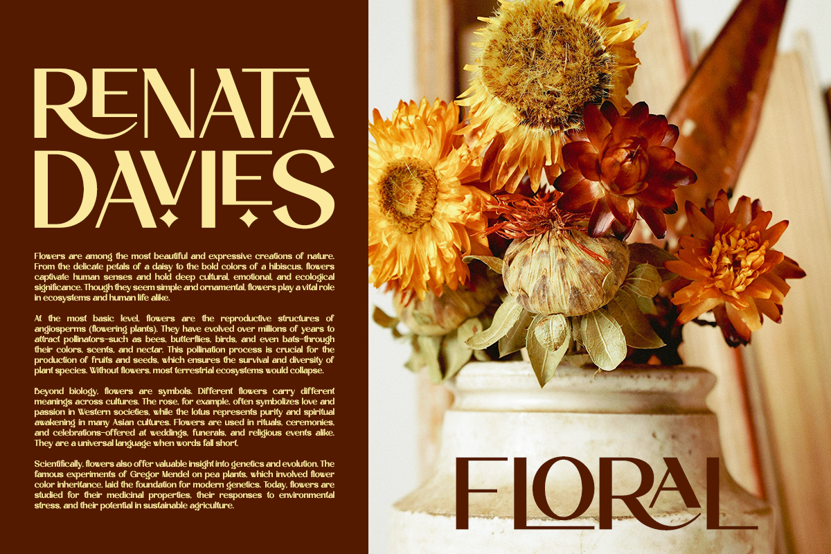 luxury-ligature-sans-serif-rochela-say-studio-5.png