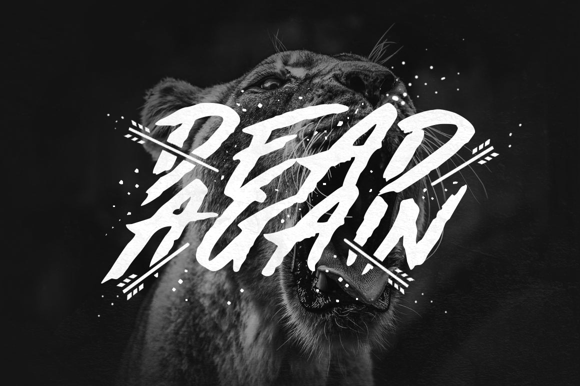 Made by Bears - Font