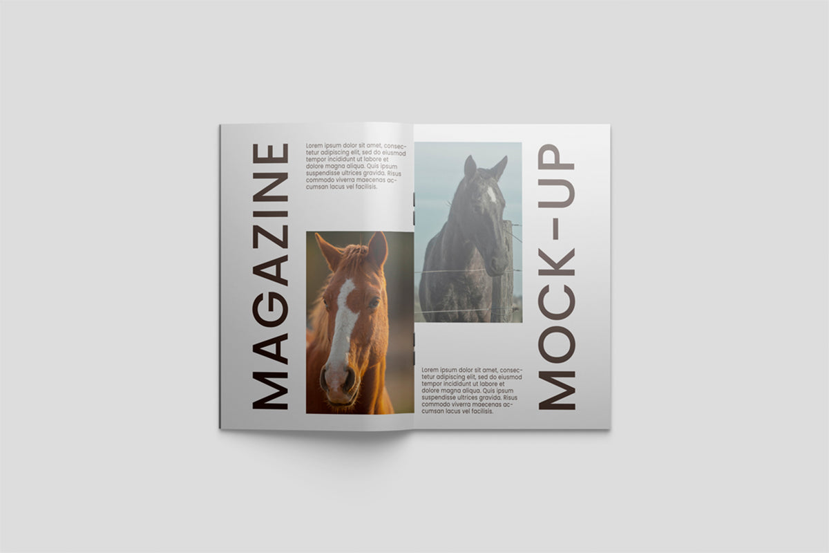 magazine-mockup-farabion-studio-4.jpg
