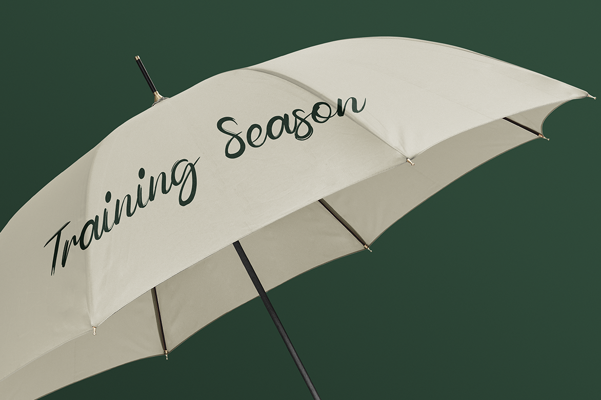 magnolia-elegant-script-font-unknown-creator-7.png