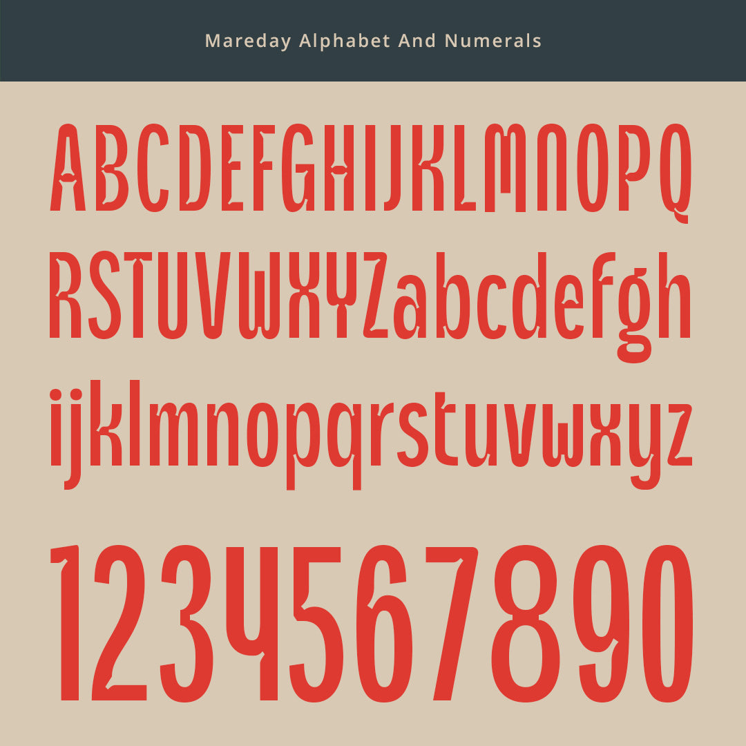 mareday-inktrap-font-craft-supply-co-8.jpg