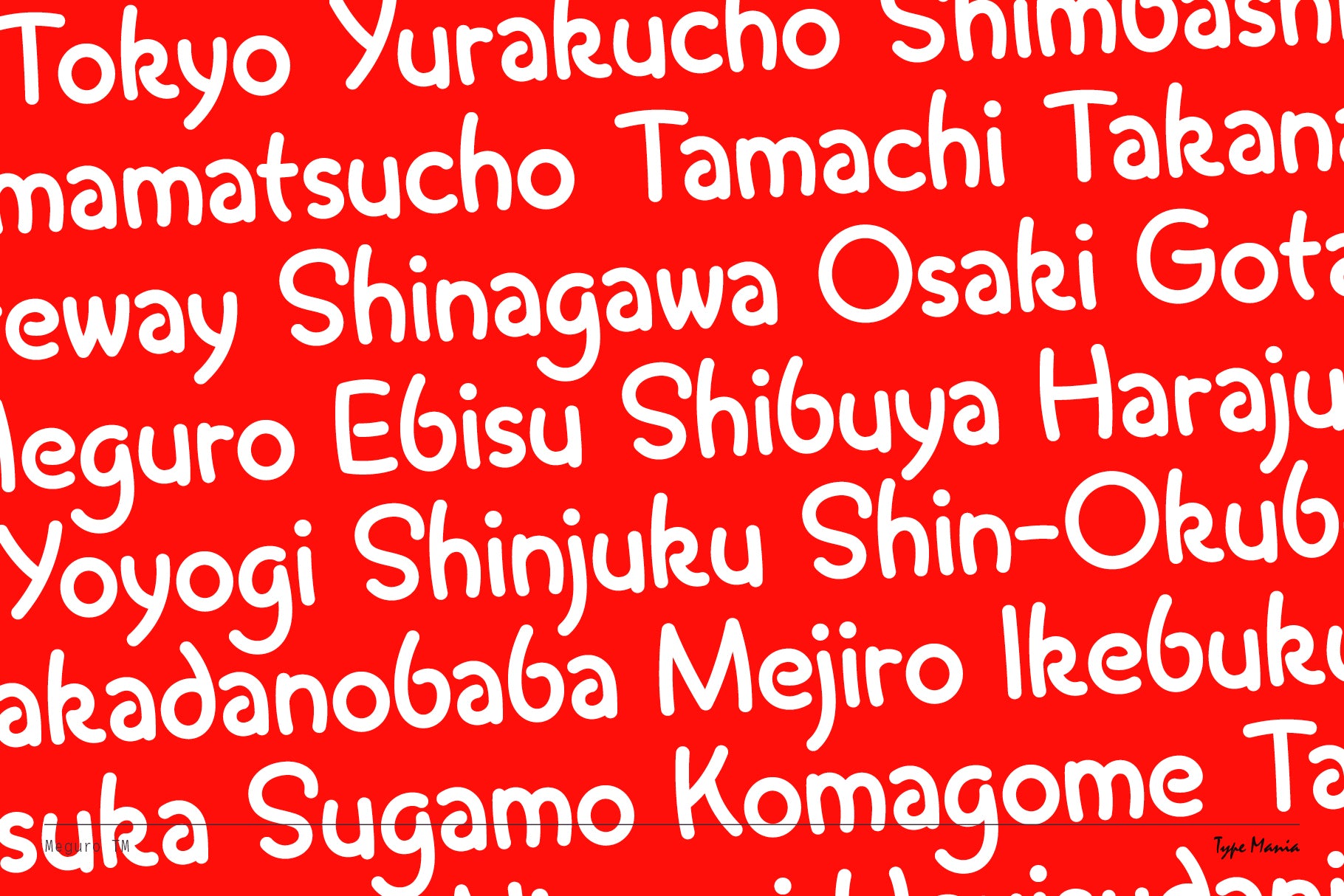 meguro-tm-type-mania-5.jpg