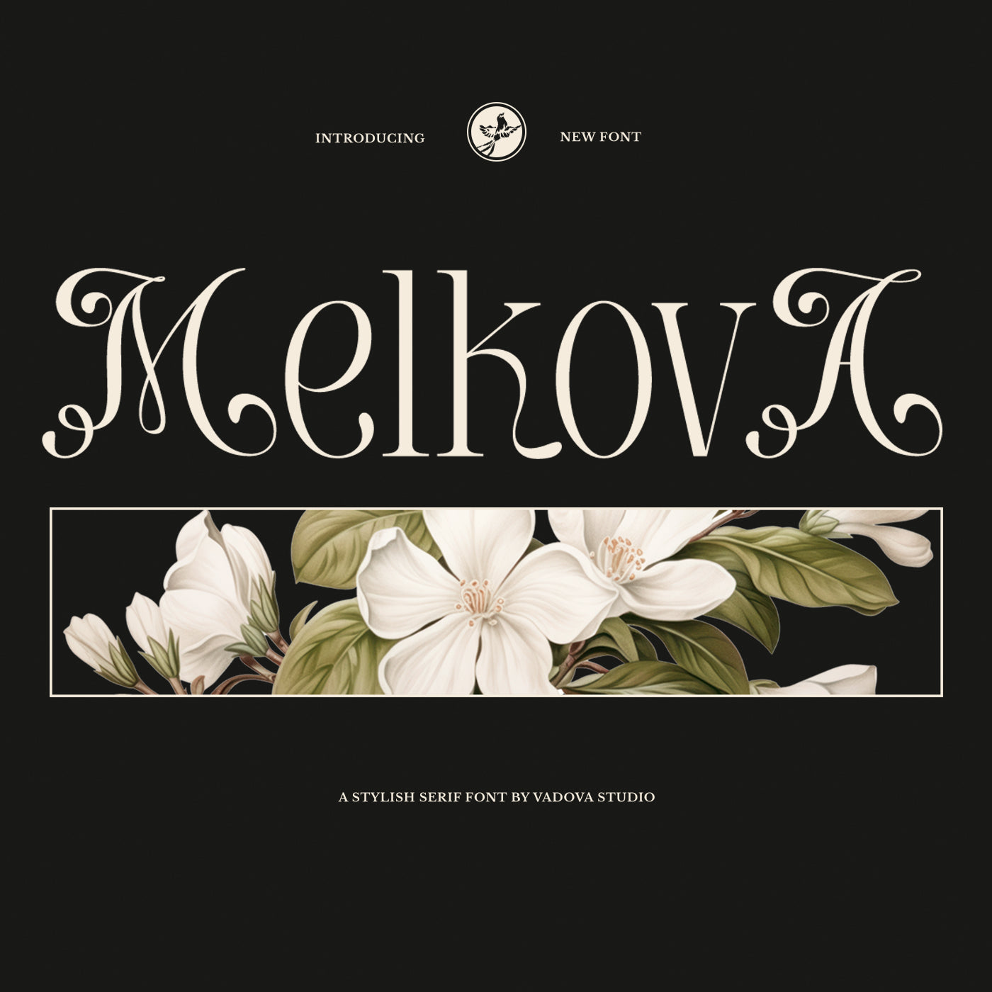 melkova-stylish-serif-font-vadova-studio-1.jpg