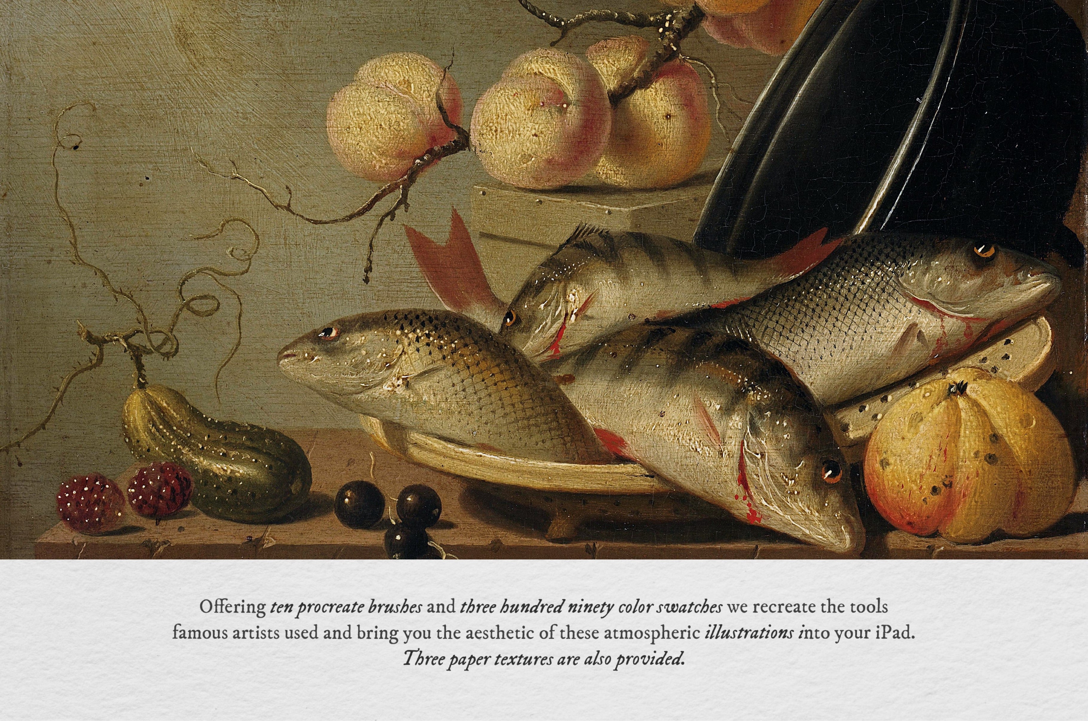 Memento Mori Procreate Kit