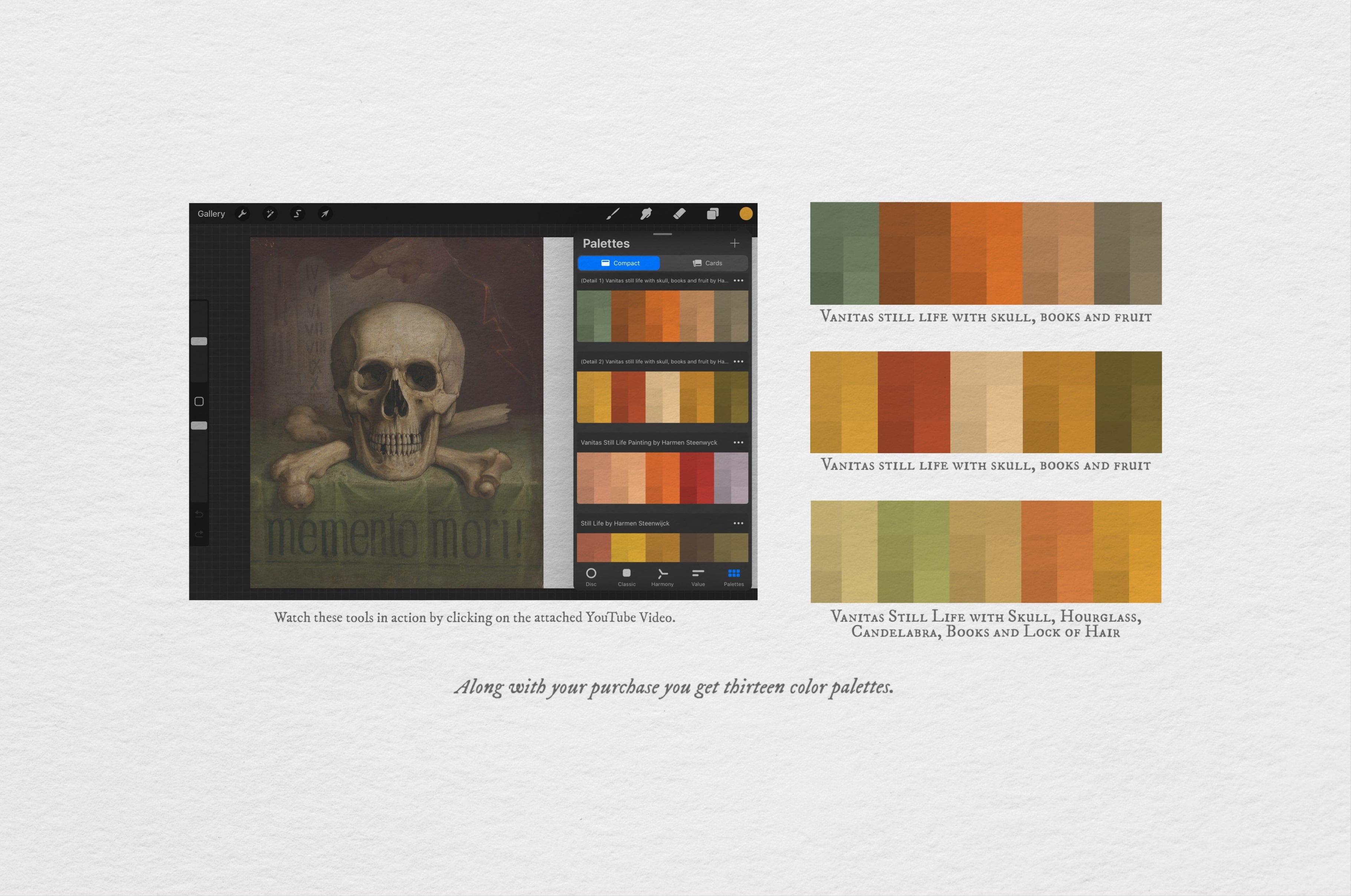 Memento Mori Procreate Kit
