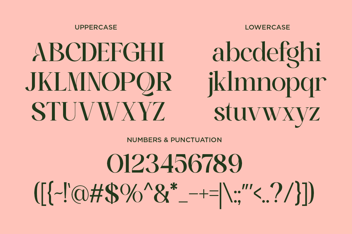 mirable-luxury-ligature-serif-font-fontliner-10.png