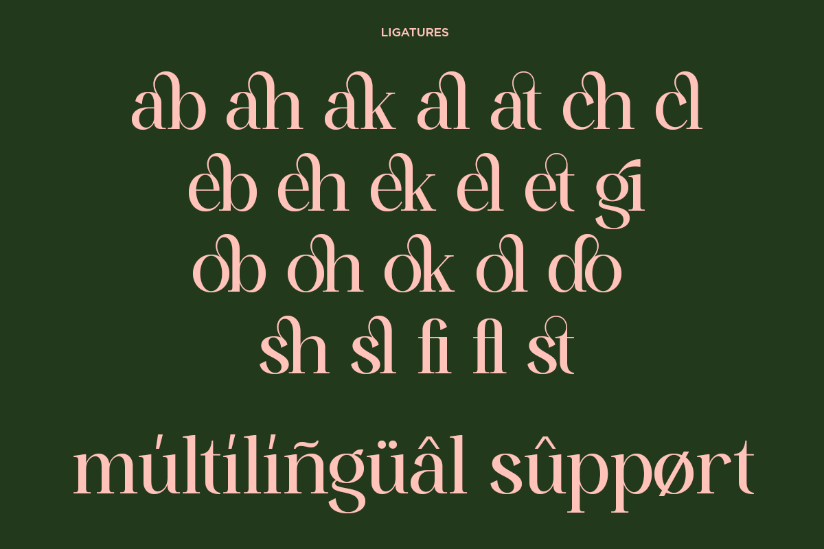 mirable-luxury-ligature-serif-font-fontliner-11.png