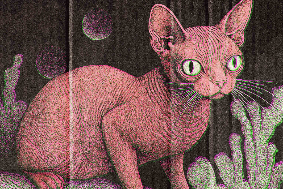 misprint-effect-unknown-creator-4.jpg