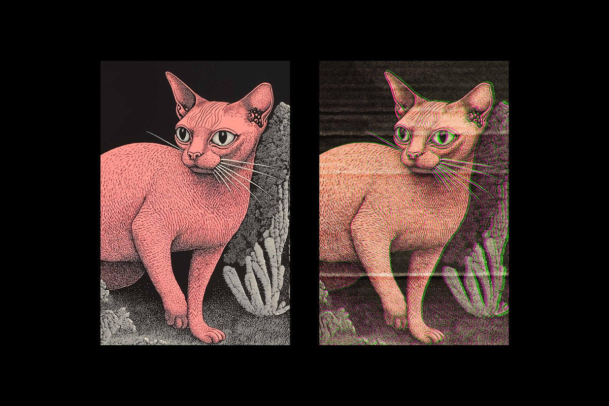 misprint-effect-unknown-creator-5.jpg