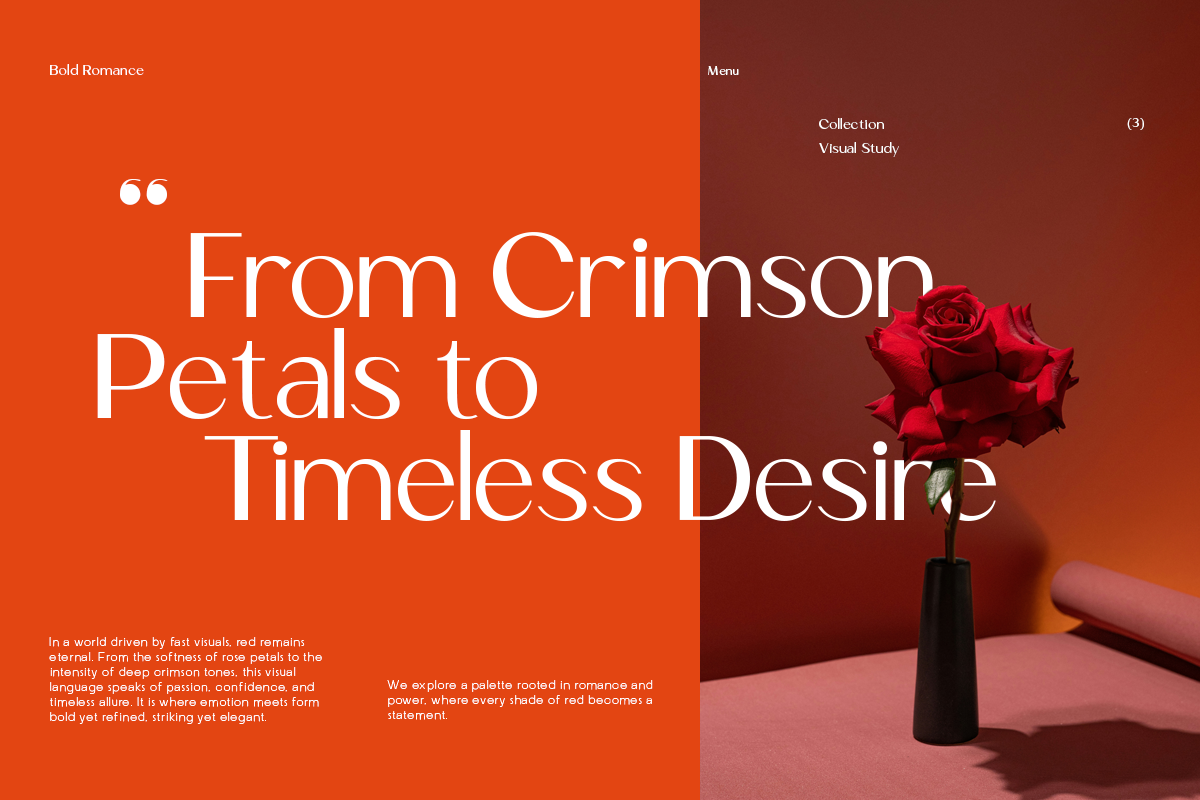 mogace-elegant-editorial-sans-serif-font-for-luxury-branding-roomspace-creative-lab-2.png