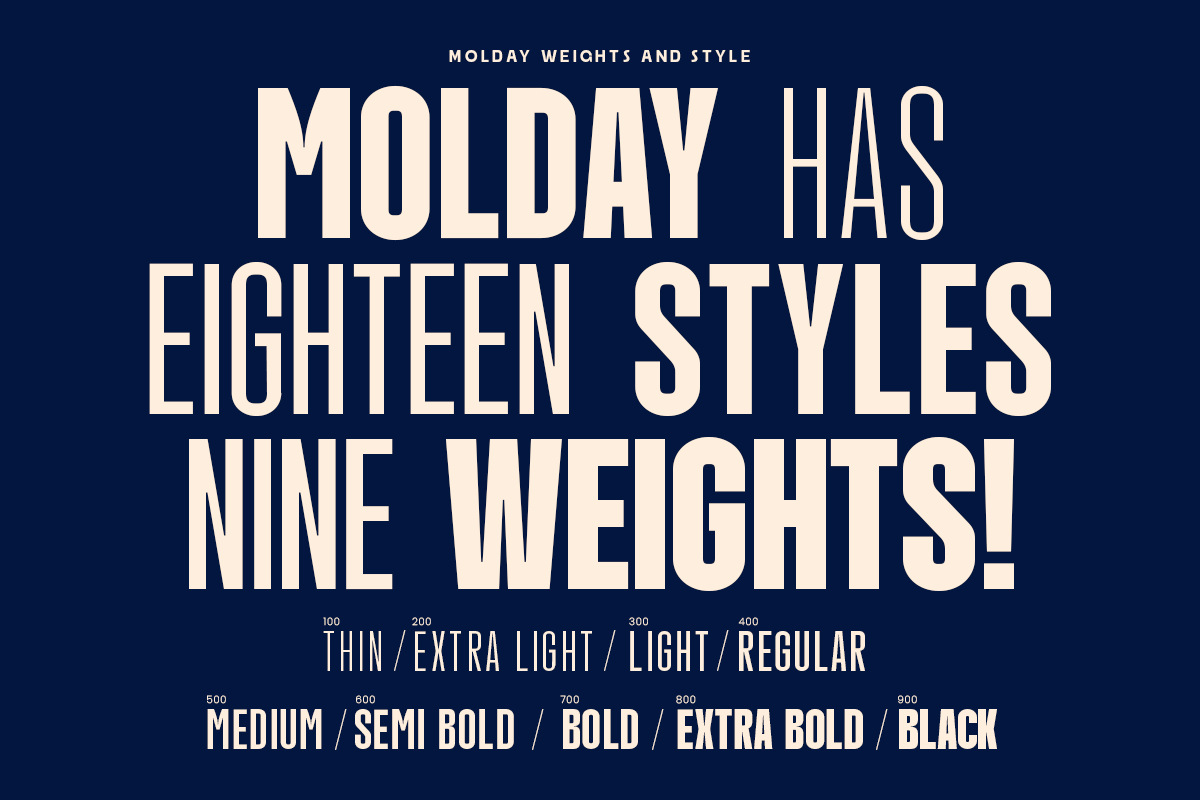 molday-modern-condensed-sans-serif-font-family-roomspace-creative-lab-13.png