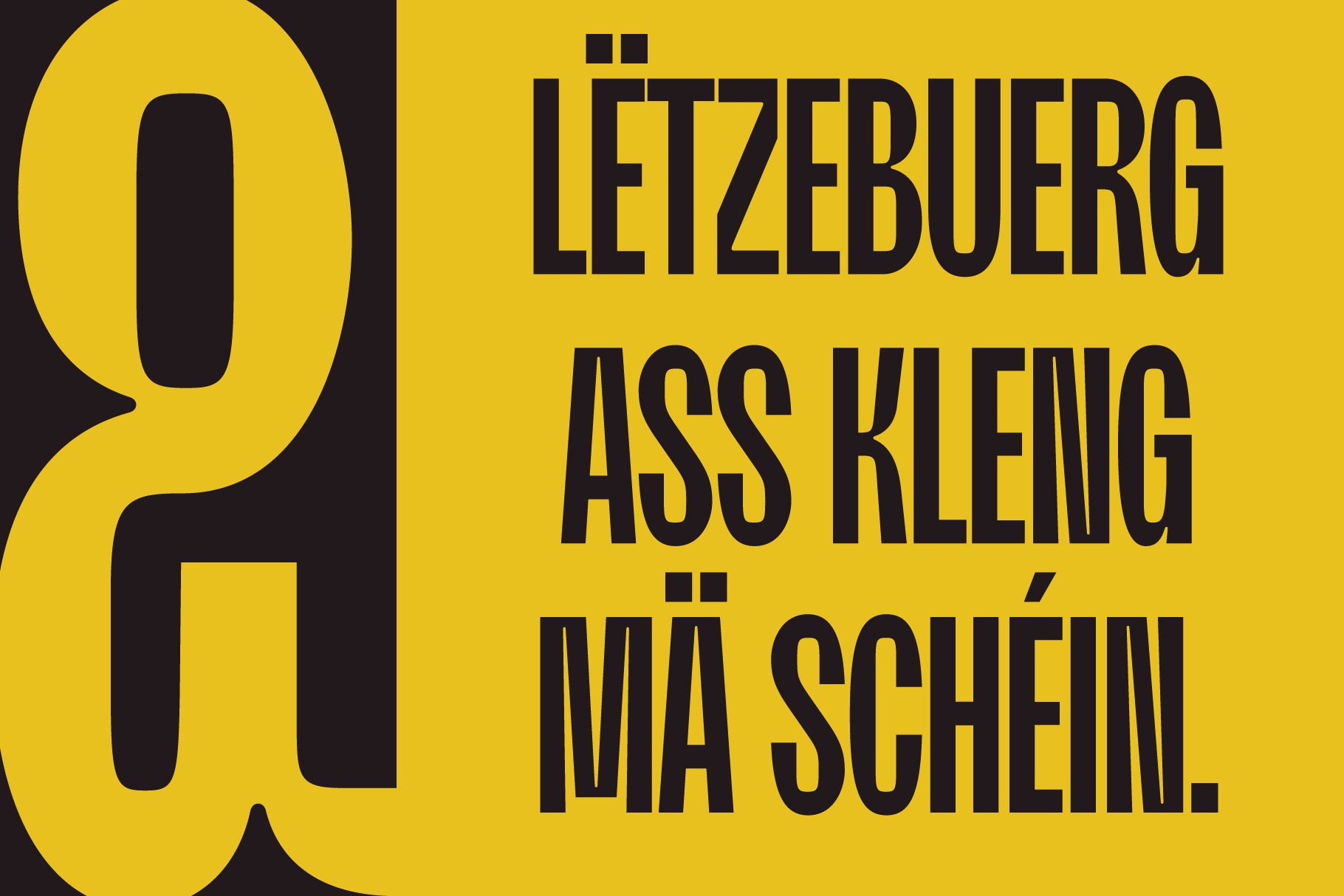 moldin-family-font-zarma-type-7.png