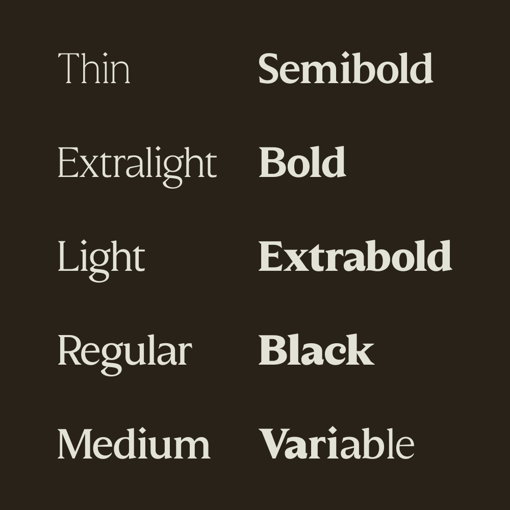molimer-family-serif-font-marvadesign-3.png