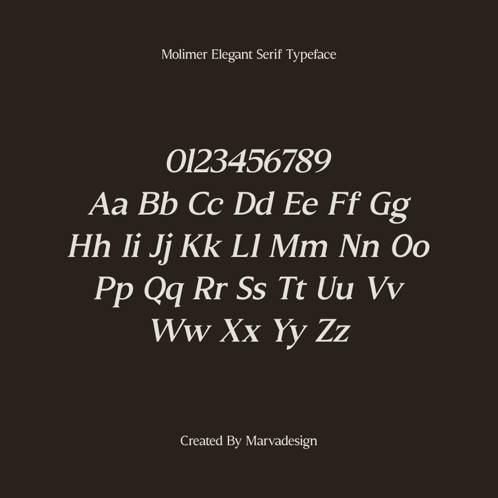 molimer-family-serif-font-marvadesign-8.png