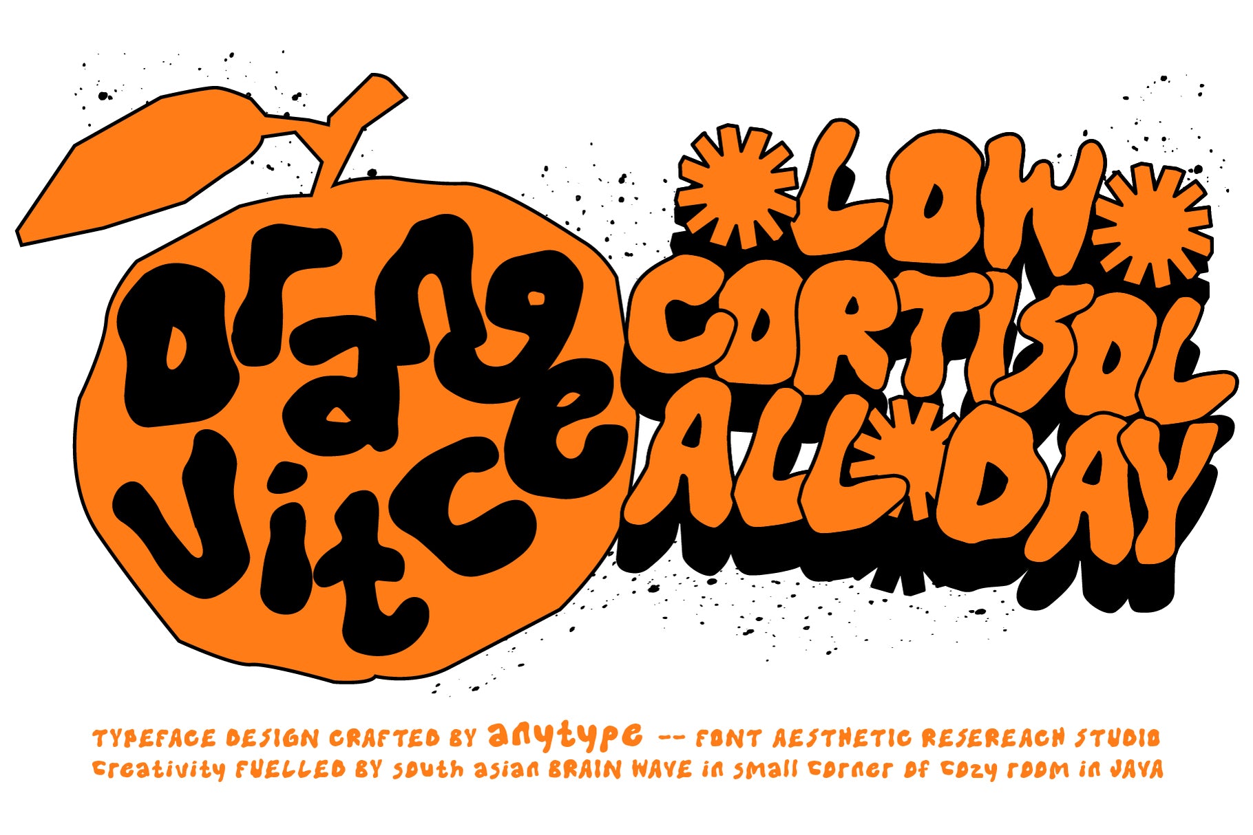 motley-rough-display-typeface-any-type-foundry-3.jpg