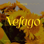Nefago Luxury Serif Font