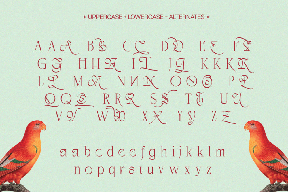 negkomis-elegant-serif-font-unknown-creator-40.png