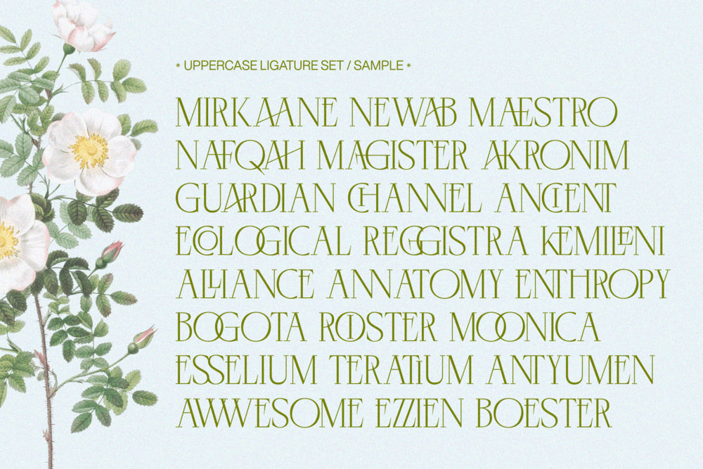 negkomis-elegant-serif-font-unknown-creator-44.png