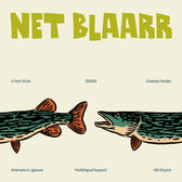 Net Blaarr – Stylistic Retro Display Typeface