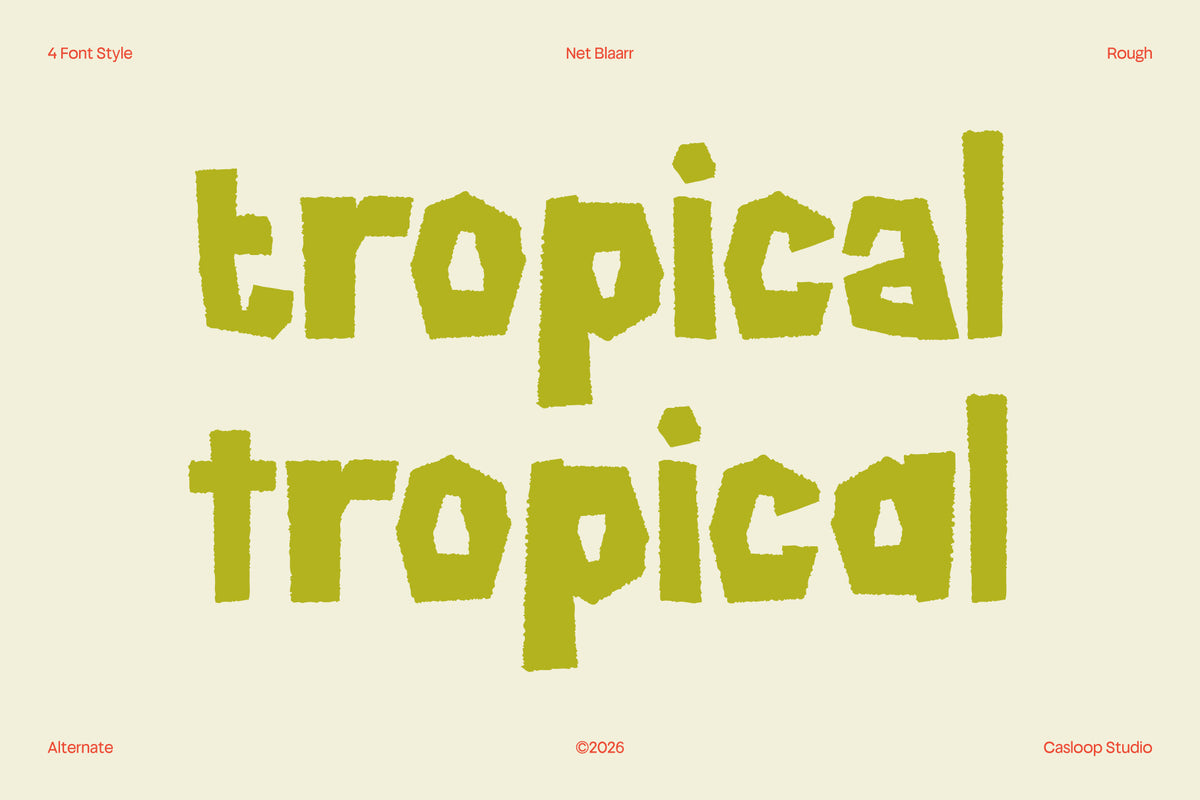 net-blaarr-stylistic-retro-display-typeface-casloop-studio-3.jpg