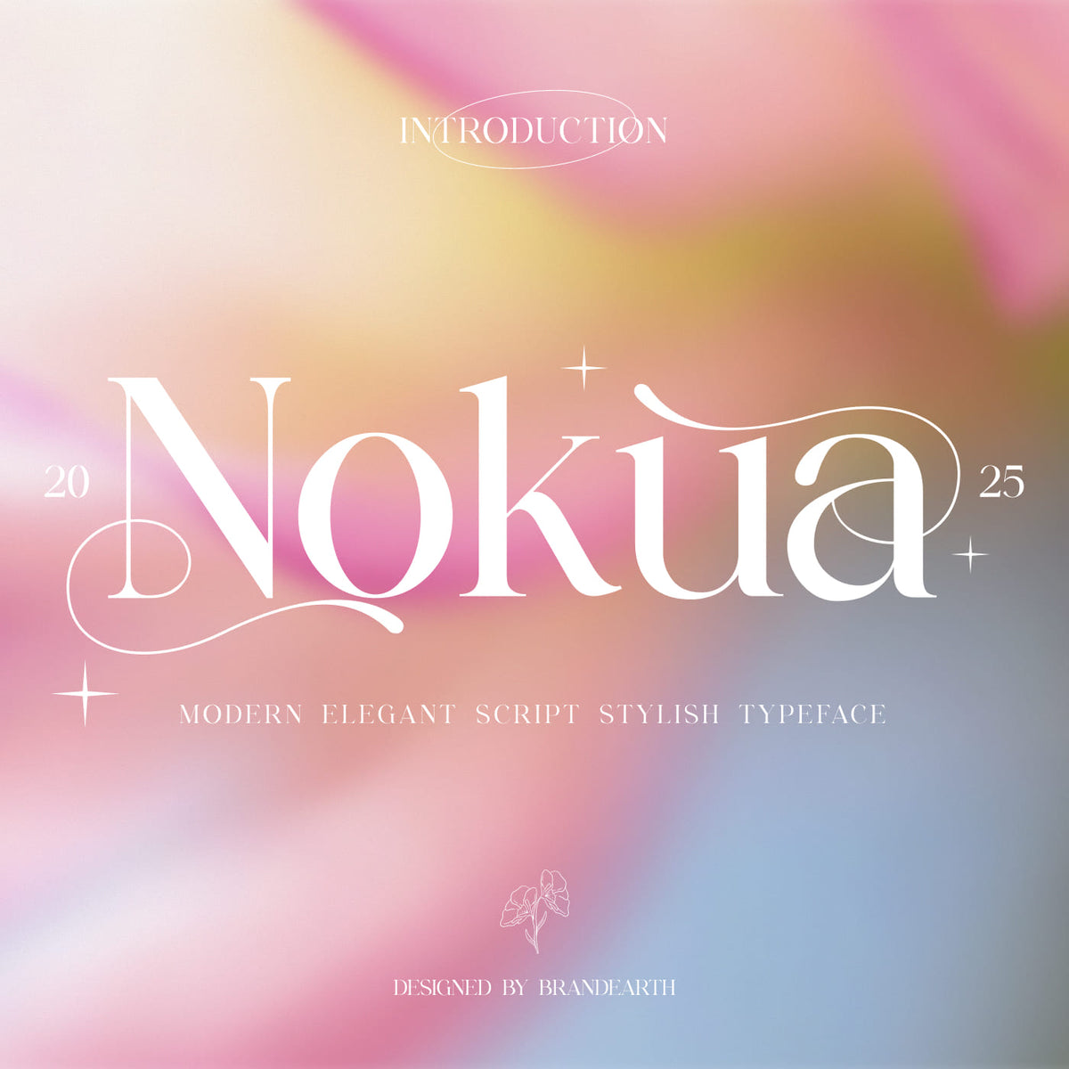 nokua-modern-elegant-script-font-brandearth-studio-1.jpg