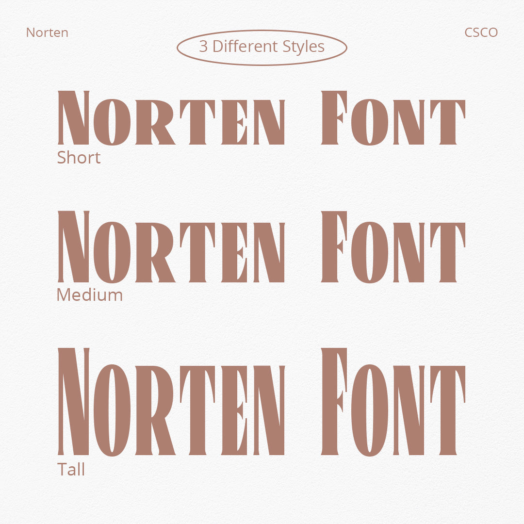 norten-serif-typeface-craft-supply-co-2.jpg