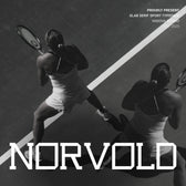 Norvold Slab Serif Typeface Font
