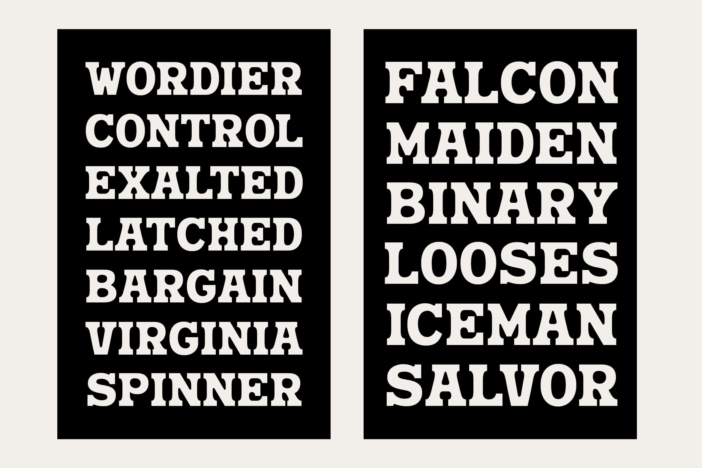 nuega-bold-slab-serif-font-blankids-3.jpg