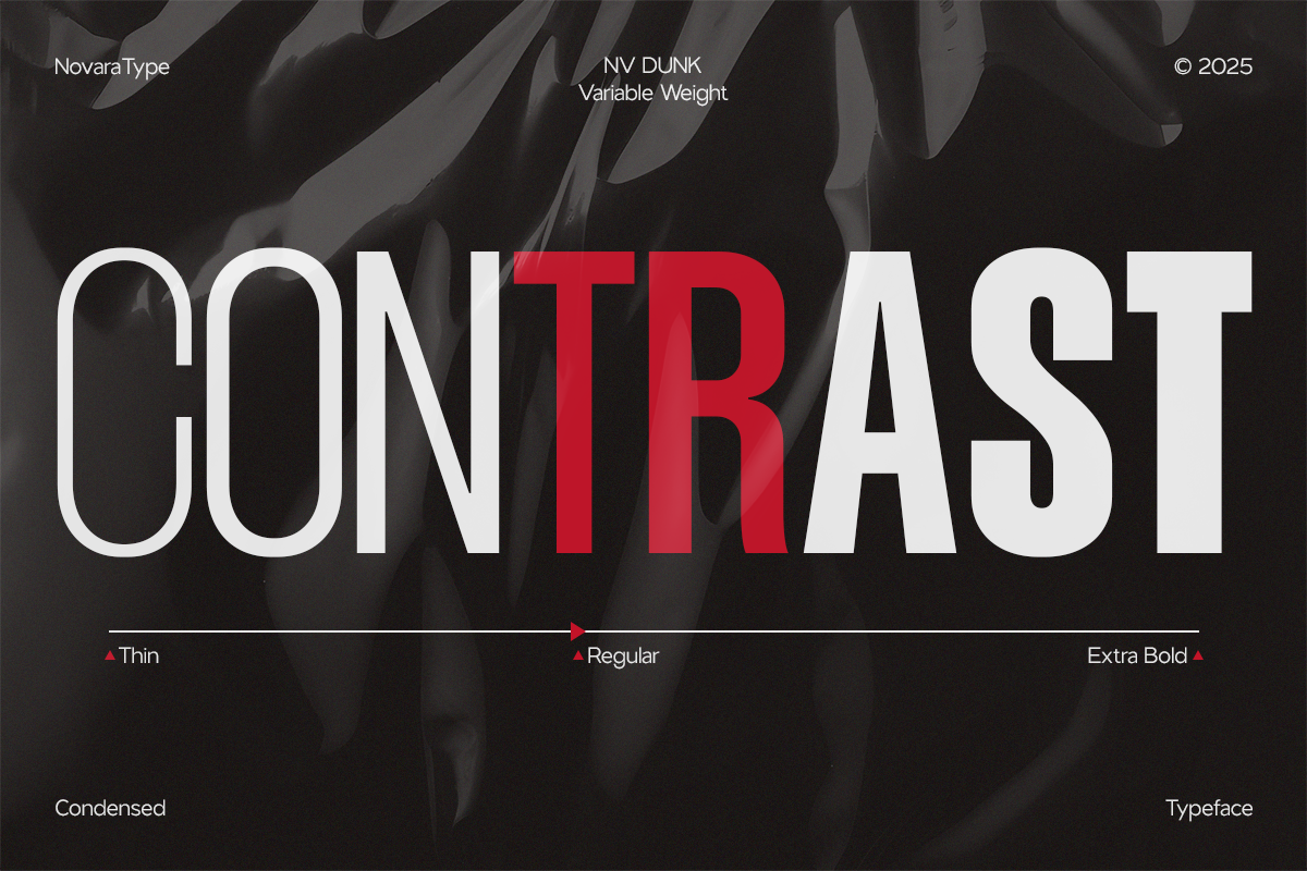nv-dunk-condensed-sans-serif-family-novaratype-8.png