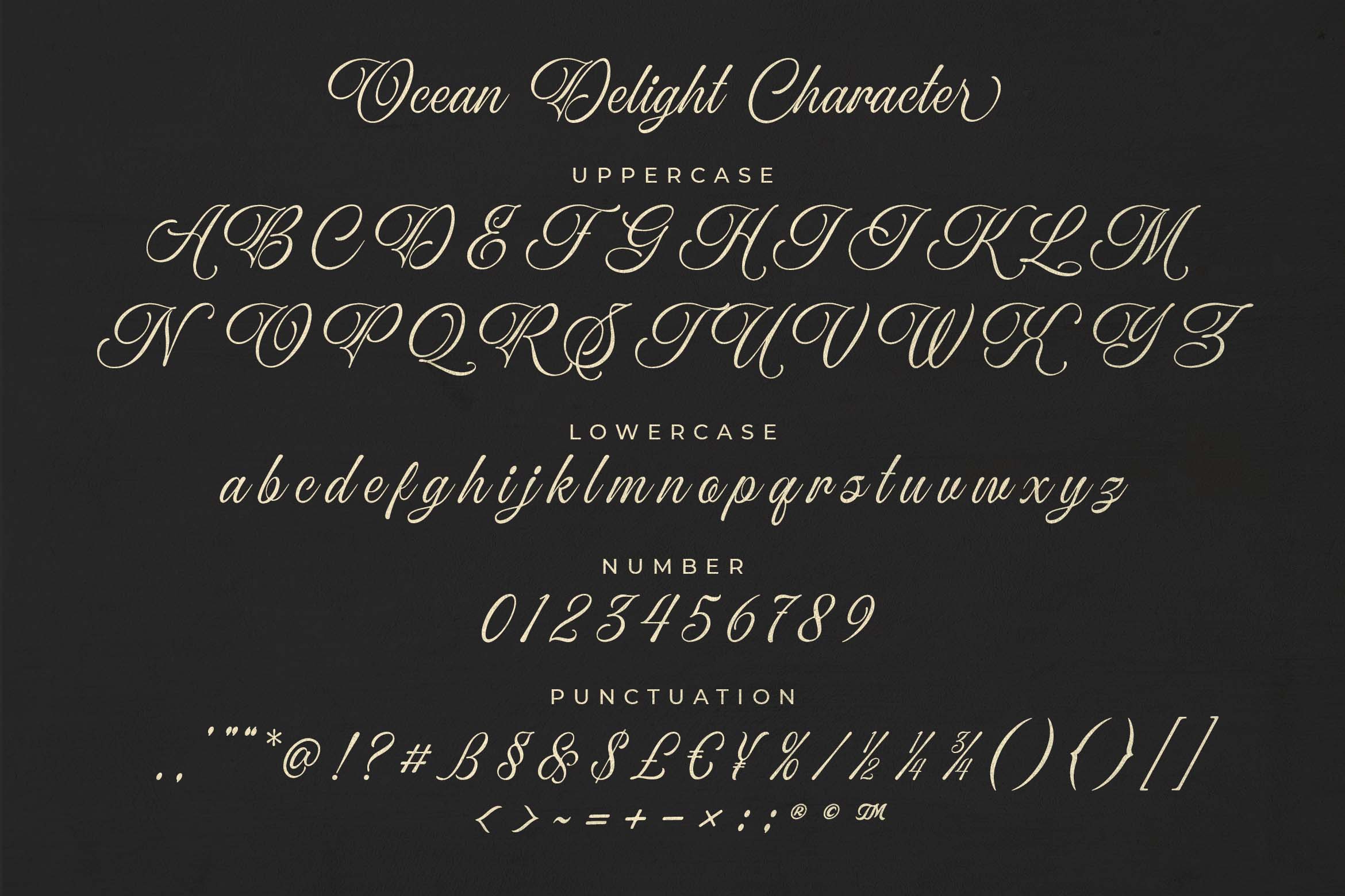 ocean-delight-a-stylish-script-font-blankids-12.jpg