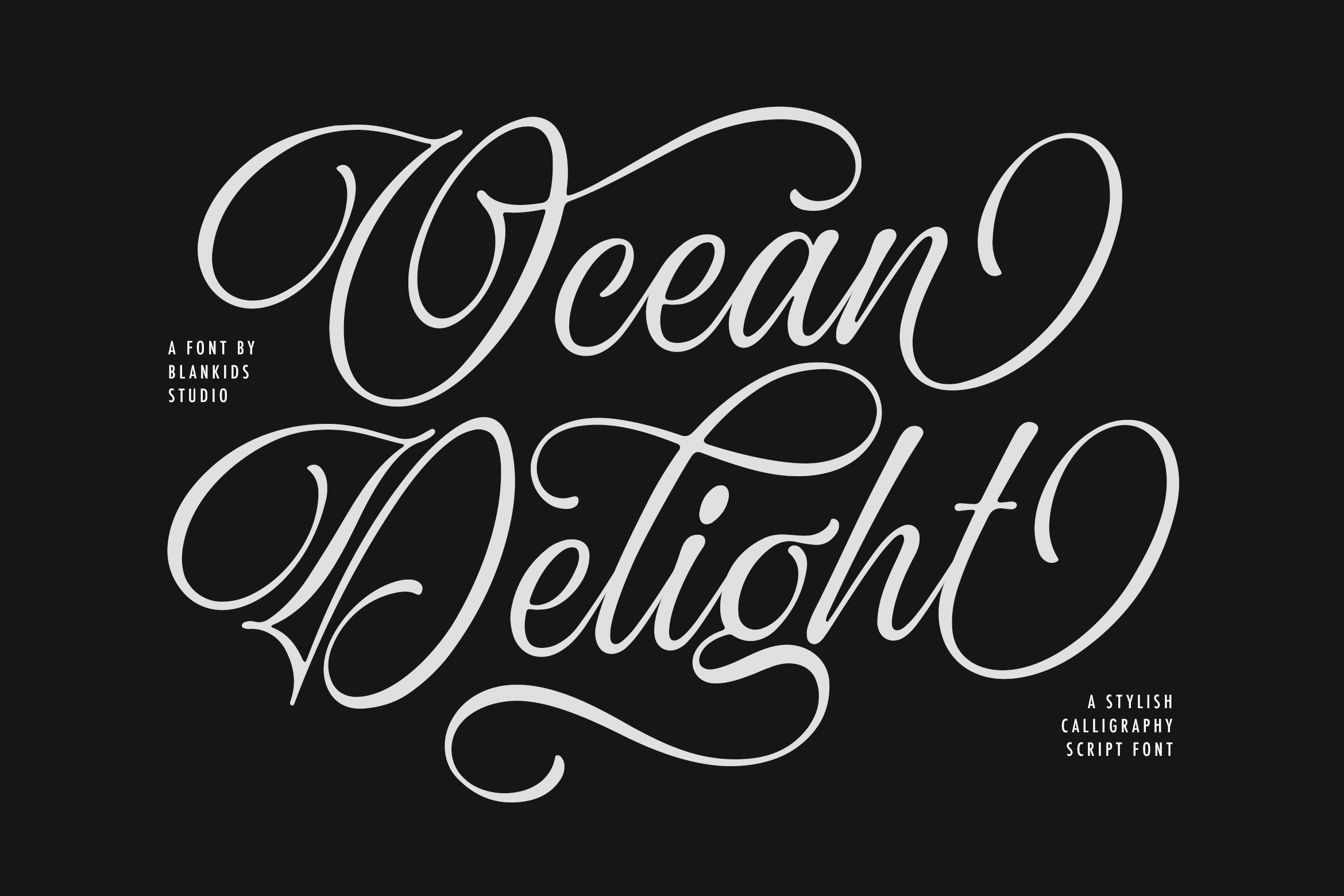 ocean-delight-a-stylish-script-font-blankids-14.jpg