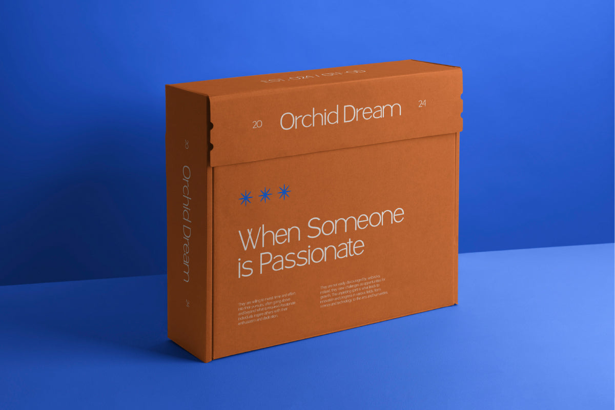 orchid-dream-elegant-sans-serif-typeface-font-vadova-studio-7.jpg