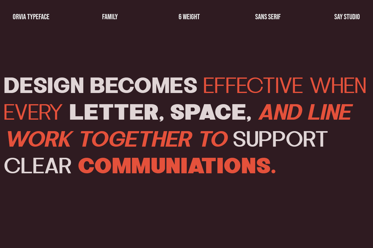 orvia-family-modern-sans-serif-font-say-studio-4.png