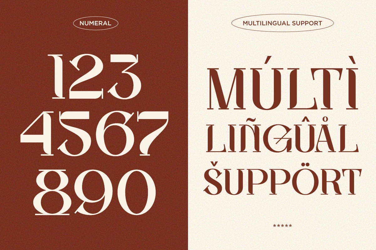 oxelar-elegant-editorial-serif-font-fontliner-9.png
