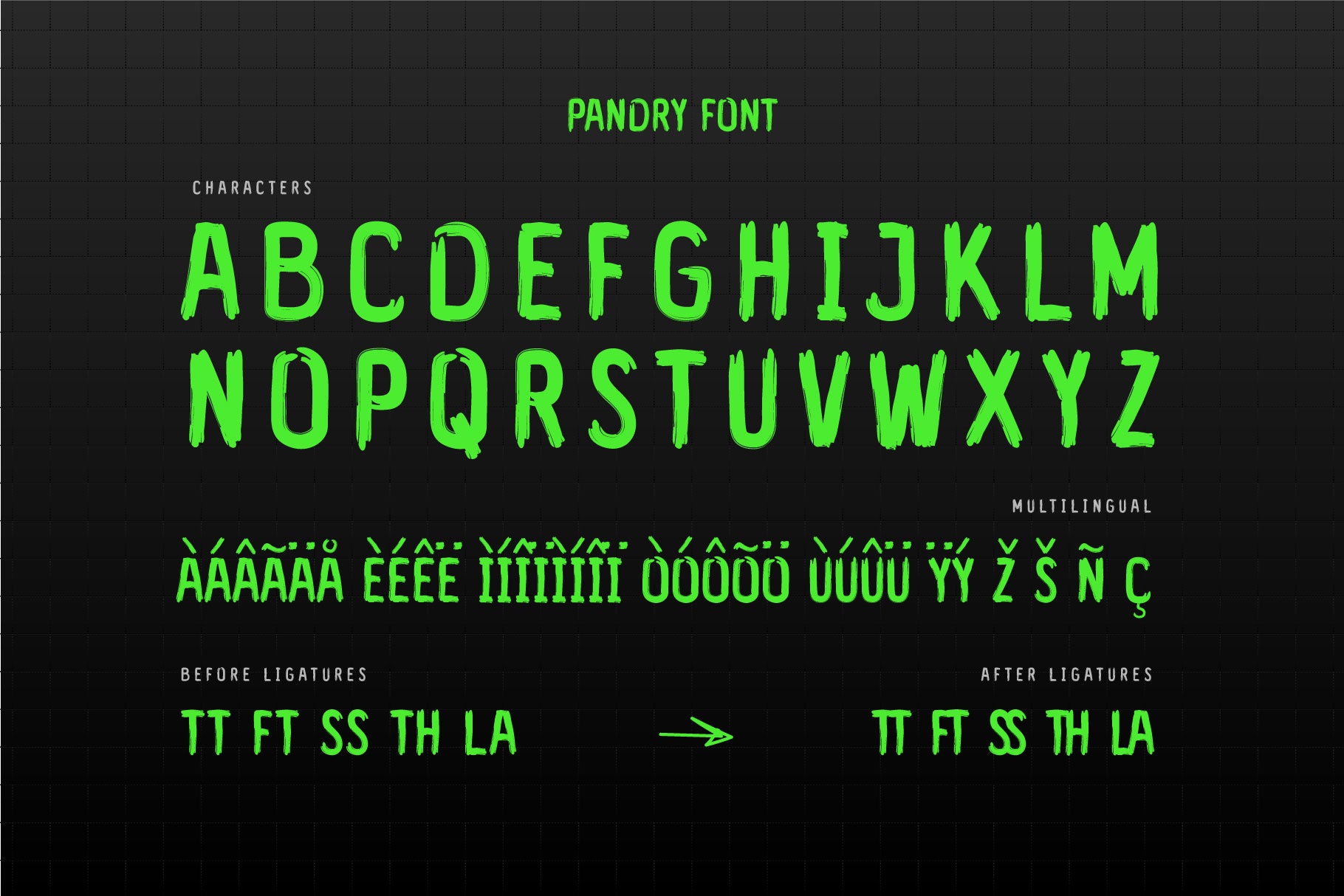pandry-sans-serif-brush-font-drizy-font-3.jpg